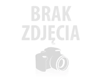 GŁOWICA CYLINDRÓW VW LT 28 35 2.5 TDI