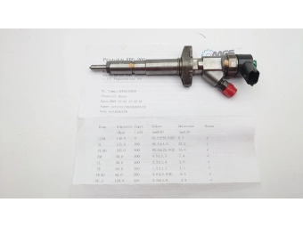 WTRYSKIWACZ BOSCH 0445110038 RENAULT ESPACE III 2.2 DCI SPRAWDZONY