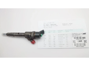 WTRYSKIWACZ BOSCH 0445110110 RENAULT MEGANE, LAGUNA ESPACE 1.9 DCI