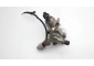 POMPA PALIWA VW, AUDI, SEAT, SKODA 2.0 FSI TFSI 06F127025F