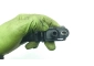 CZUJNIK CIŚNIENIA PALIWA BOSCH Z BLASZKĄ BMW 3 E46, 5 E39 X5 E53 3.0D M57 0261230046